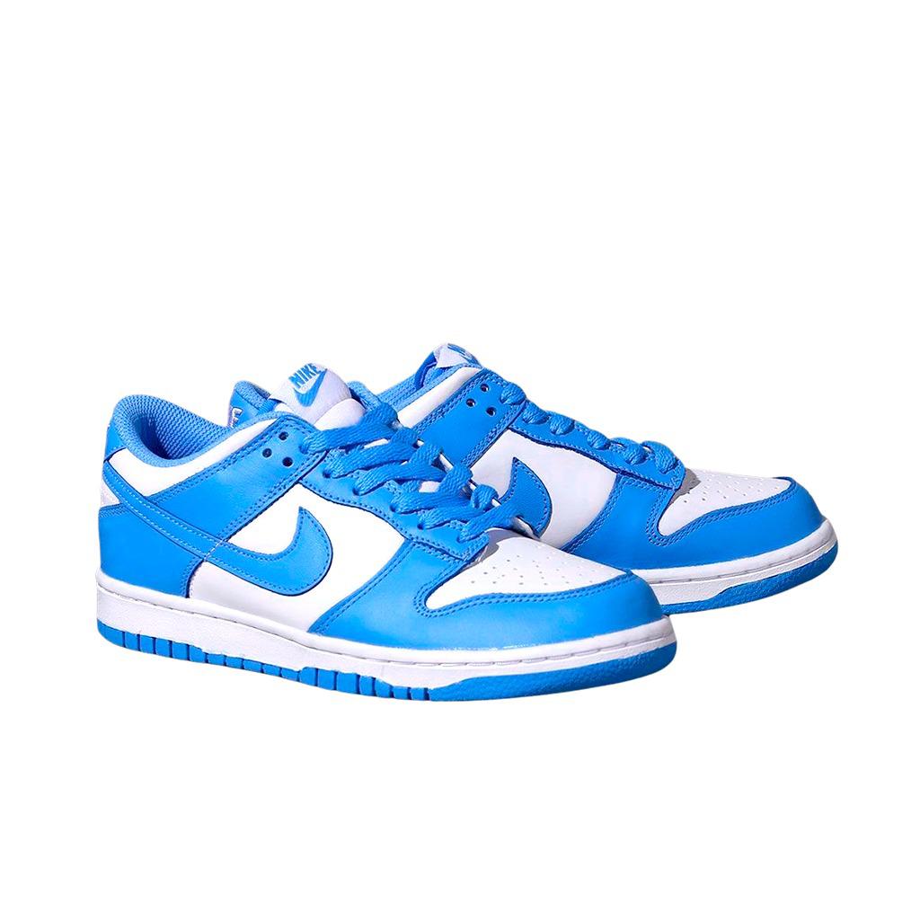 Tênis Nike SB Dunk